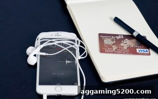 体育博彩公司深度指南：充值延迟应对策略与路单分析实用技巧