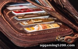 体育博彩公司揭秘：数字货币充值手续费的构成与省钱技巧