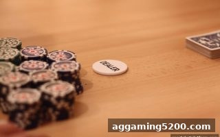 体育博彩公司深度剖析：骰宝游戏心理策略与理性娱乐法则