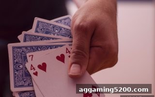 骰宝博弈实战指南：体育博彩公司教你掌握概率与风控