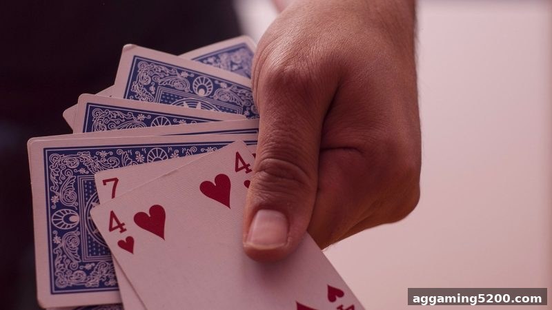 骰宝博弈实战指南：体育博彩公司教你掌握概率与风控