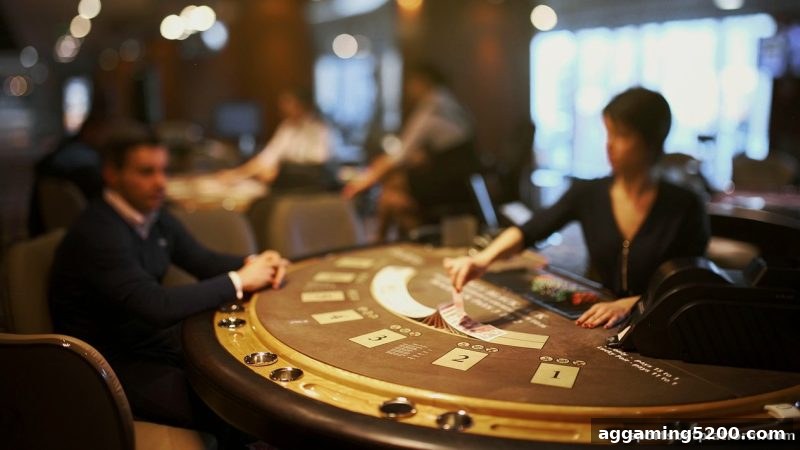 体育博彩公司深度解析：PG老虎机百家乐牌局观察精要