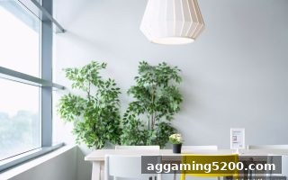 体育博彩公司拉新奖励与投注策略深度解析