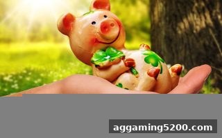 体育博彩公司深度解析：银行卡充值六合彩的实战玩法与策略