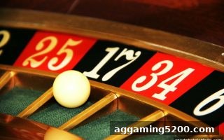 时时彩认知误区全解析：体育博彩公司的理性参与指南