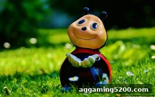 体育博彩公司深度解析：咪牌经典纸牌与北京赛车的概率博弈策略