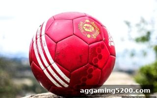 体育博彩公司深度解读：复式投注的玩法、概率与策略