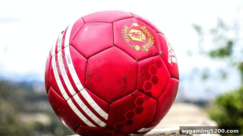 体育博彩公司深度解读：复式投注的玩法、概率与策略