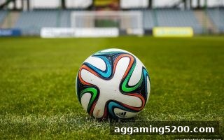 体育博彩公司深度剖析：SG飞艇彩票倍数与复式玩法全掌握