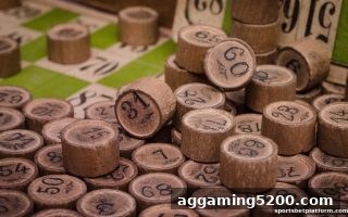 体育博彩公司如何应对中国彩票法规的深度变革？