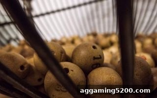 番摊彩票深度解析：体育博彩公司如何用概率设计游戏？