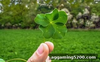 彩票文化的地域多样性：体育博彩公司深度解读利澳各地区玩法热度差异