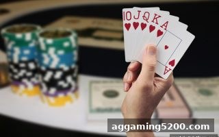 体育博彩公司揭秘：胜率统计如何成为真人棋牌策略的理性基石
