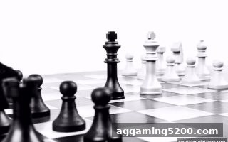 棋牌平台用户社区：体育博彩公司视角下的生态重塑与玩家赋能