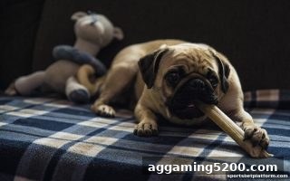 体育博彩公司视角：支付宝充值如何重塑桌游互动体验与玩家权益保障