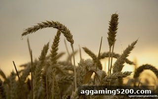 体育博彩公司威廉希尔优惠活动全解析：从新手到VIP的福利体系与使用智慧