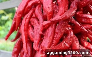 水果机返水到账时间全解析：体育博彩公司教你高效利用每日回馈金