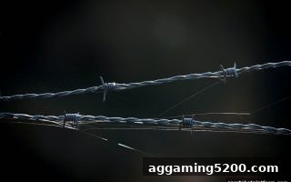 体育博彩公司解密：如何彻底规避黑平台陷阱