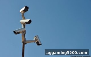 体育博彩公司如何选？从老虎机RTP到平台合规的完整评估指南