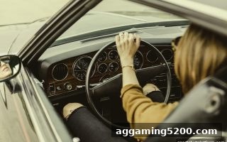 体育博彩公司深度解析：电子游艺波动性如何重塑玩家体验与ISO认证价值