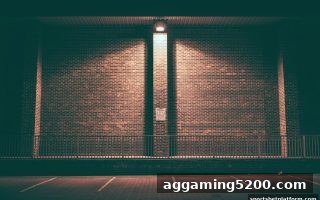体育博彩公司深度揭秘：免费旋转规则与策略全攻略