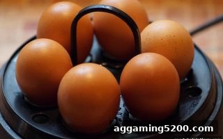 体育博彩公司带你玩转骰宝免费旋转：每日小目标让乐趣更持久