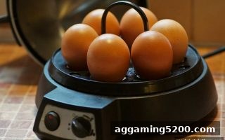 体育博彩公司深度揭秘：电子游艺连线设计技巧与官方注册全攻略